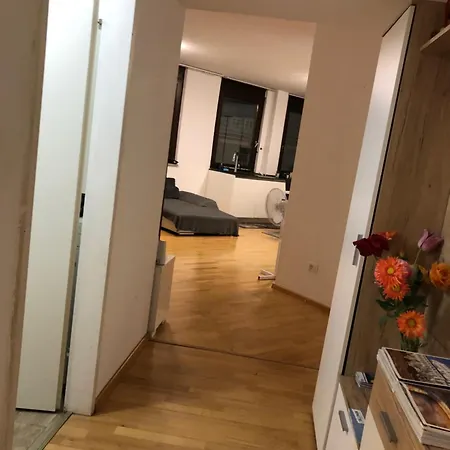 Appartement Charmante 2-zimmer 1 Wohnzimmer Im Zentrum Von Innsbruck, Wifi