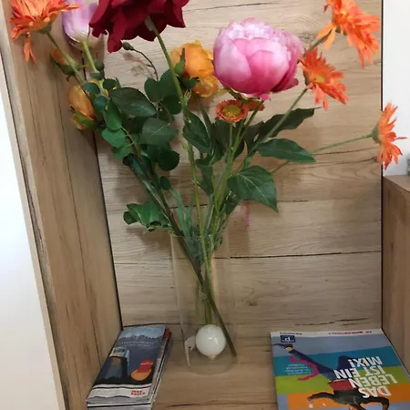 Charmante 2-zimmer 1 Wohnzimmer Im Zentrum Von Innsbruck, Wifi דירה *